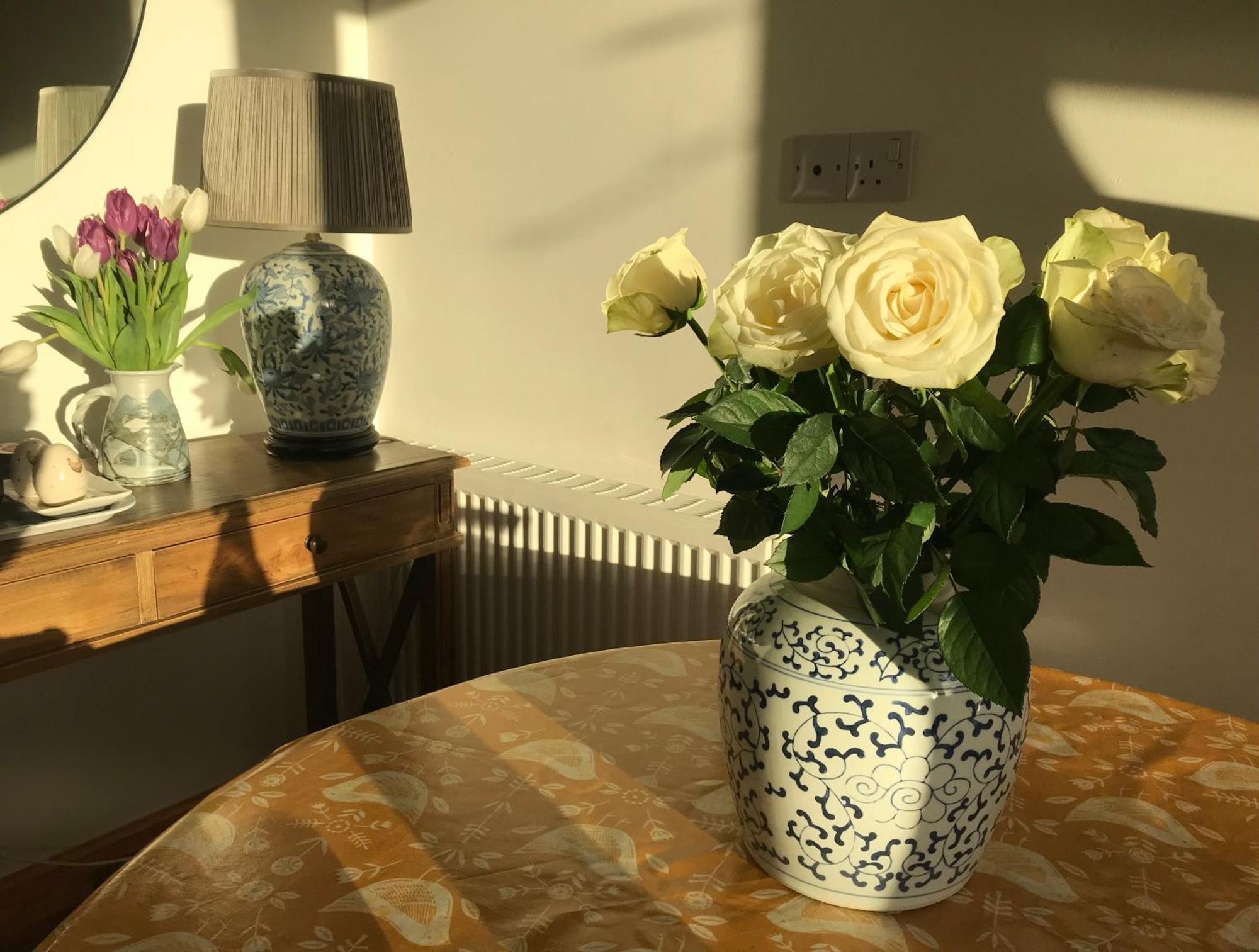 City Central Quiet Garden Apartment With Free Parking Inverness Kültér fotó