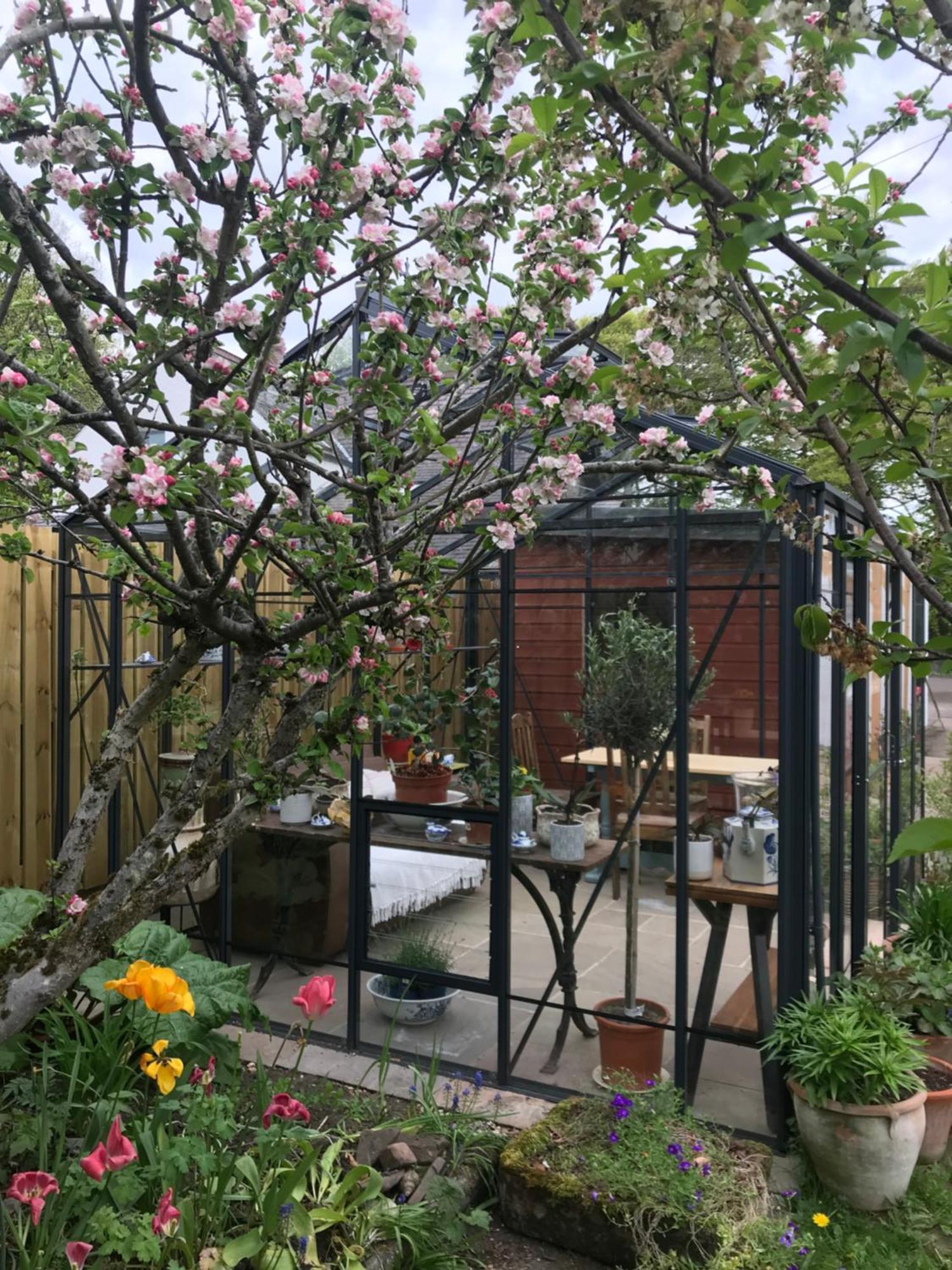 City Central Quiet Garden Apartment With Free Parking Inverness Kültér fotó